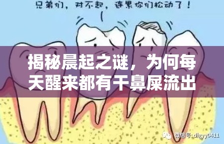 揭秘晨起之謎，為何每天醒來都有干鼻屎流出