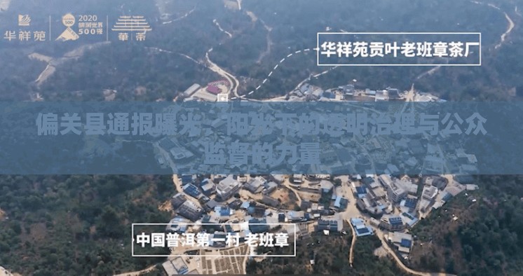 偏關(guān)縣通報曝光，陽光下的透明治理與公眾監(jiān)督的力量