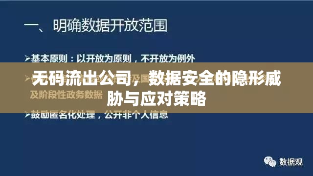 無(wú)碼流出公司，數(shù)據(jù)安全的隱形威脅與應(yīng)對(duì)策略