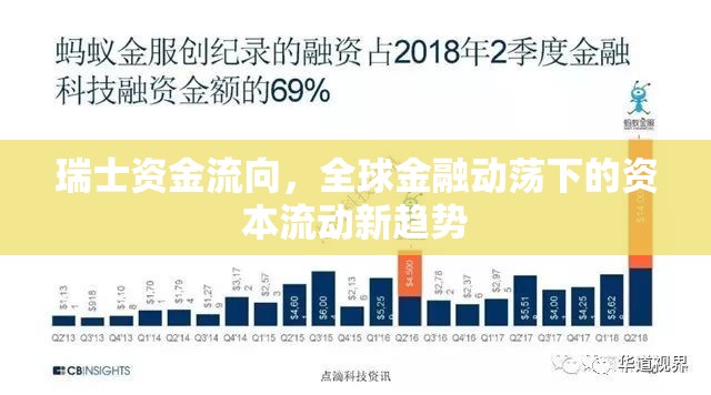 瑞士資金流向，全球金融動蕩下的資本流動新趨勢