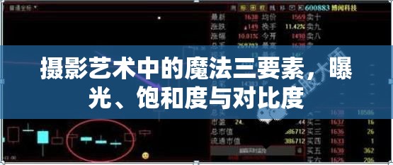 攝影藝術(shù)中的魔法三要素，曝光、飽和度與對(duì)比度