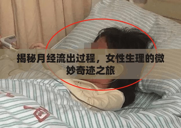 揭秘月經(jīng)流出過程，女性生理的微妙奇跡之旅