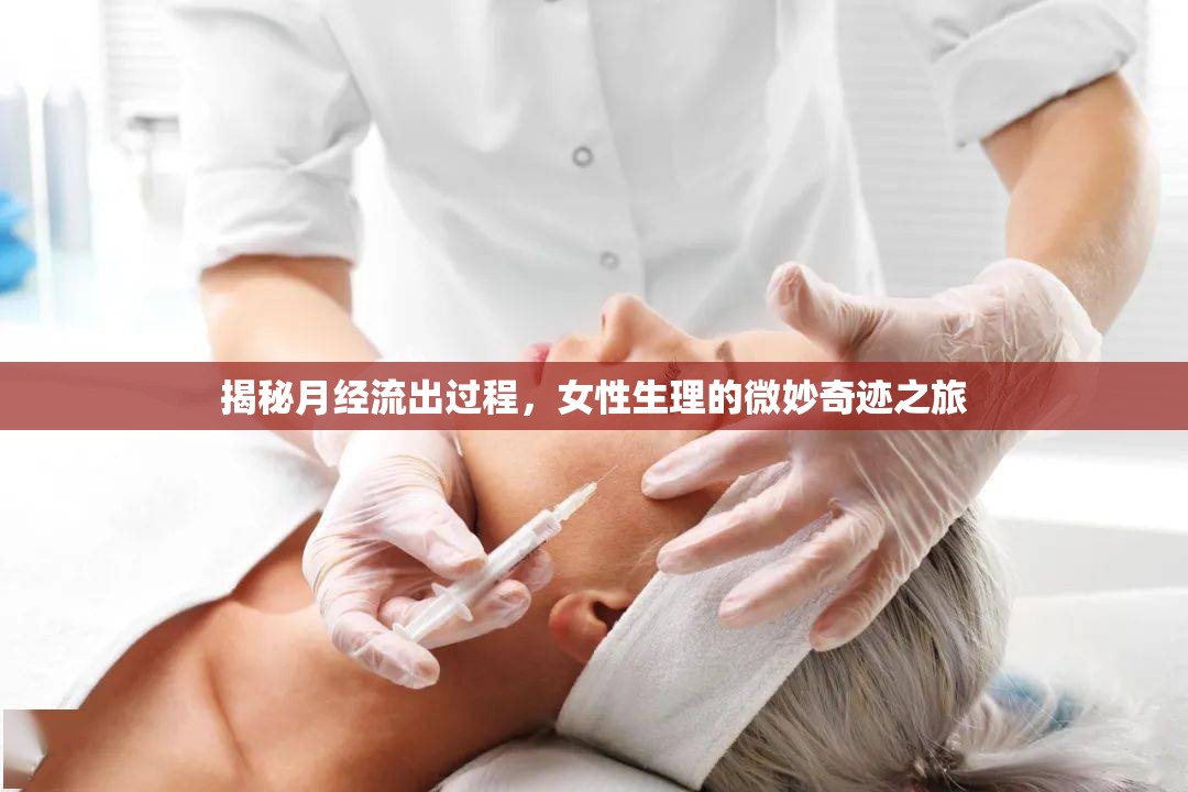 揭秘月經(jīng)流出過程，女性生理的微妙奇跡之旅
