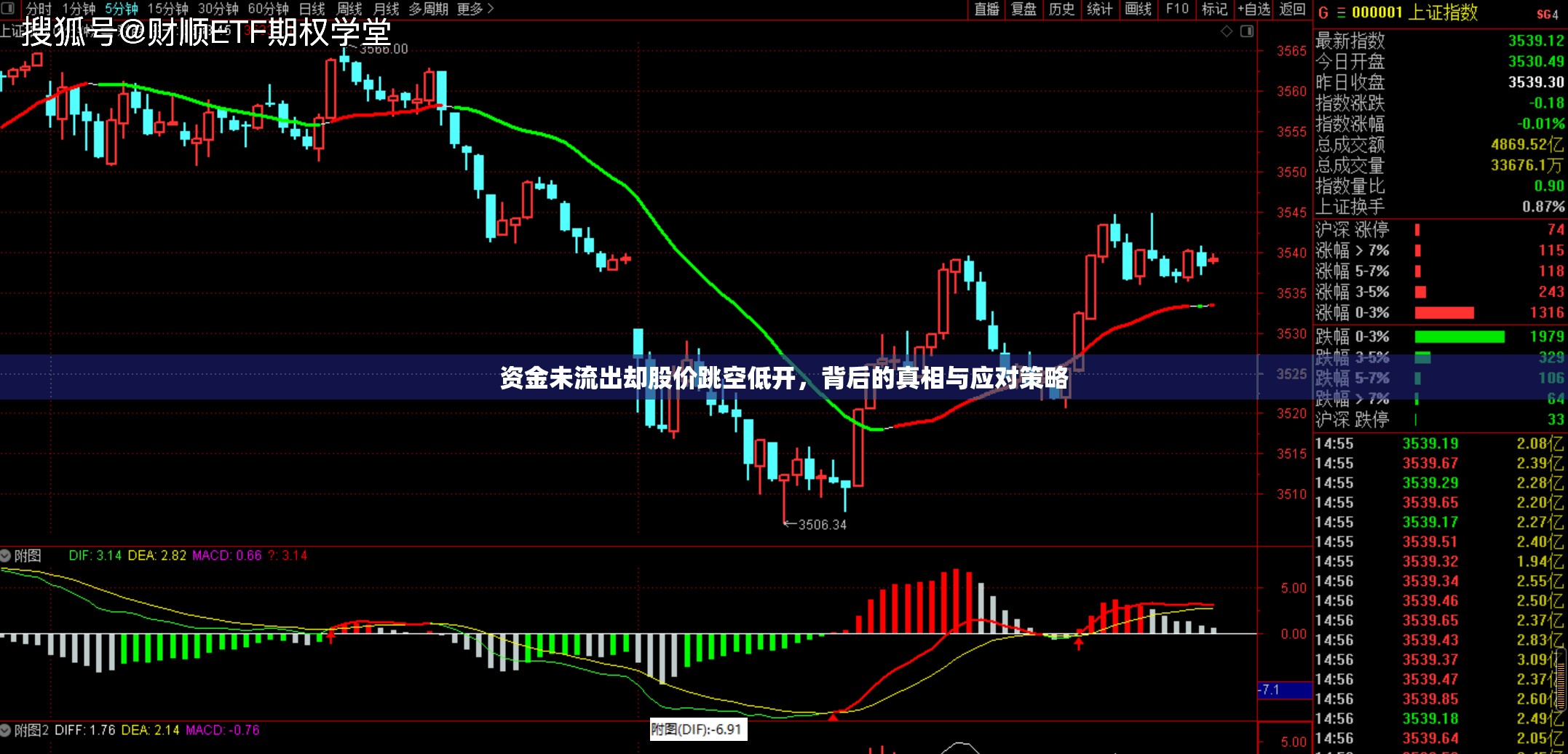 資金未流出卻股價跳空低開，背后的真相與應(yīng)對策略