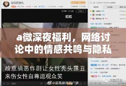 a微深夜福利，網(wǎng)絡(luò)討論中的情感共鳴與隱私邊界