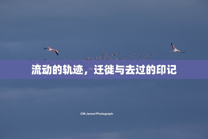 流動的軌跡，遷徙與去過的印記