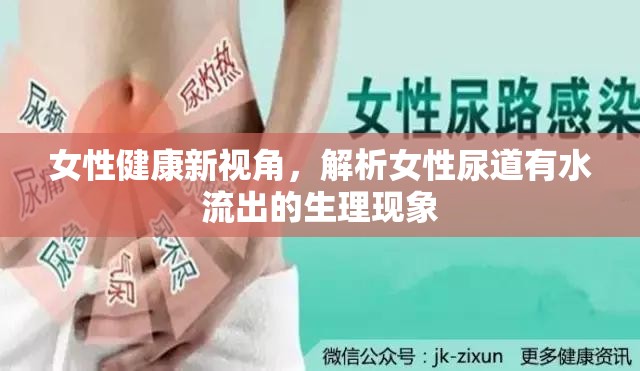 女性健康新視角，解析女性尿道有水流出的生理現(xiàn)象