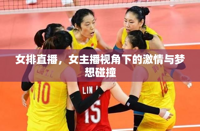 女排直播，女主播視角下的激情與夢(mèng)想碰撞