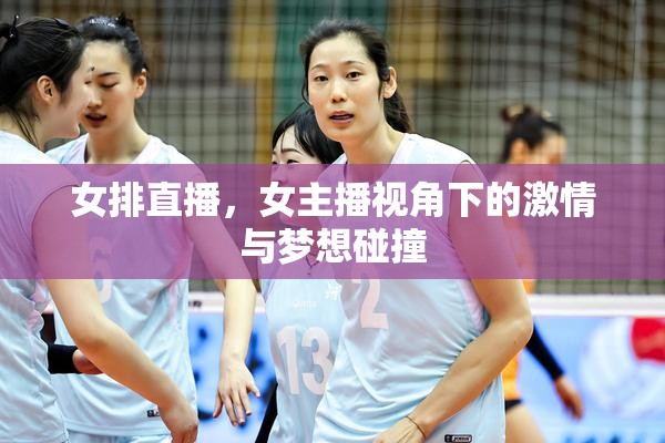 女排直播，女主播視角下的激情與夢(mèng)想碰撞