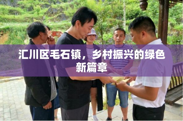 匯川區(qū)毛石鎮(zhèn)，鄉(xiāng)村振興的綠色新篇章