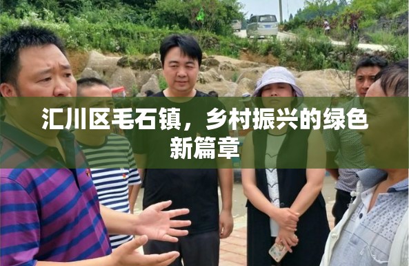 匯川區(qū)毛石鎮(zhèn)，鄉(xiāng)村振興的綠色新篇章