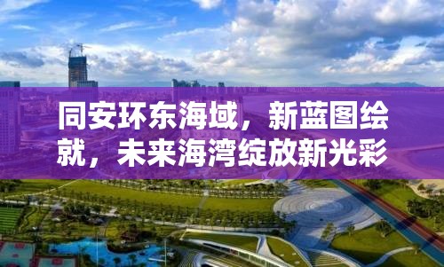 同安環(huán)東海域，新藍(lán)圖繪就，未來(lái)海灣綻放新光彩——發(fā)展動(dòng)態(tài)與展望
