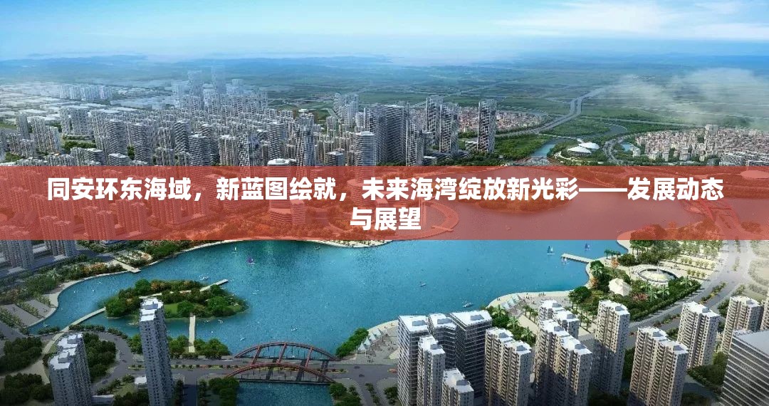 同安環(huán)東海域，新藍(lán)圖繪就，未來(lái)海灣綻放新光彩——發(fā)展動(dòng)態(tài)與展望