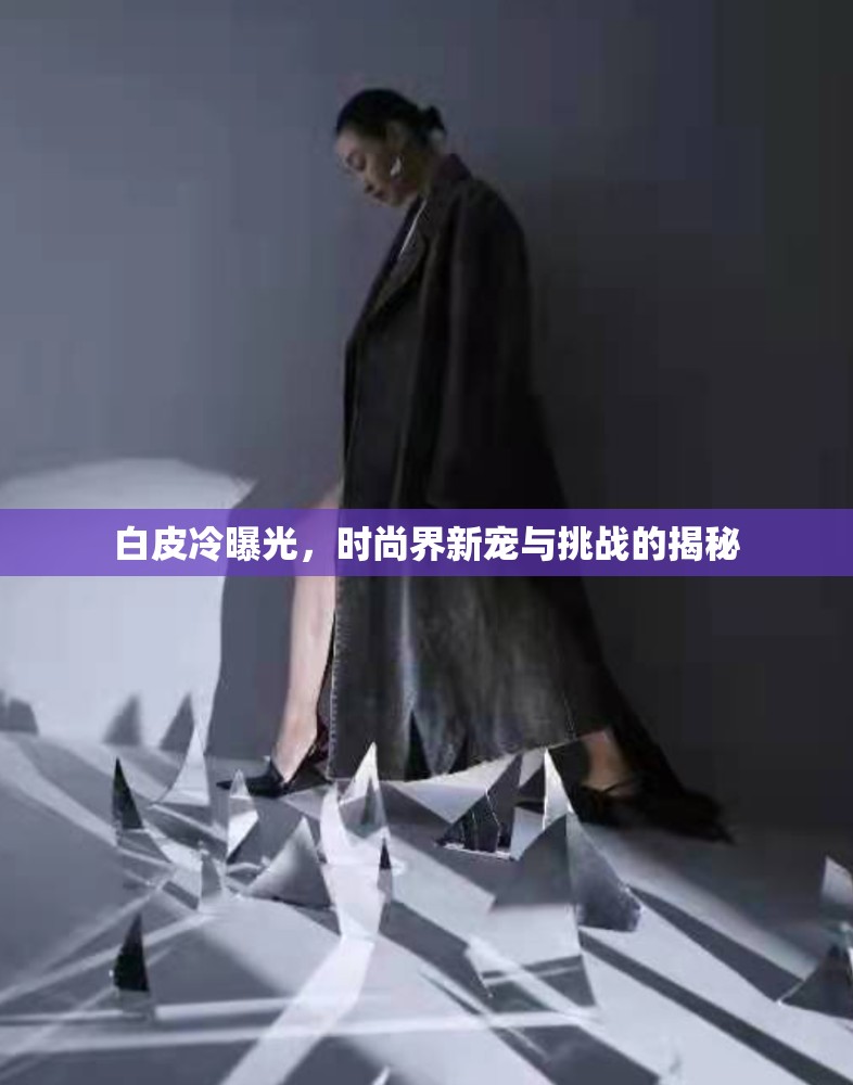 白皮冷曝光，時(shí)尚界新寵與挑戰(zhàn)的揭秘