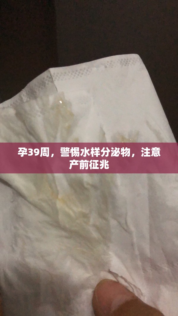 孕39周，警惕水樣分泌物，注意產(chǎn)前征兆