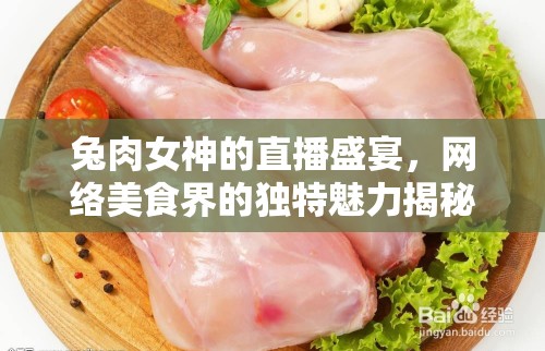 兔肉女神的直播盛宴，網(wǎng)絡(luò)美食界的獨特魅力揭秘
