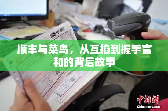 順豐與菜鳥(niǎo)，從互掐到握手言和的背后故事