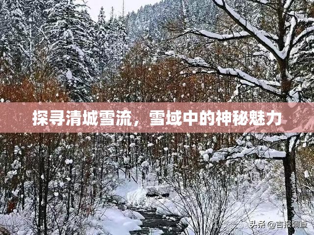 探尋清城雪流，雪域中的神秘魅力