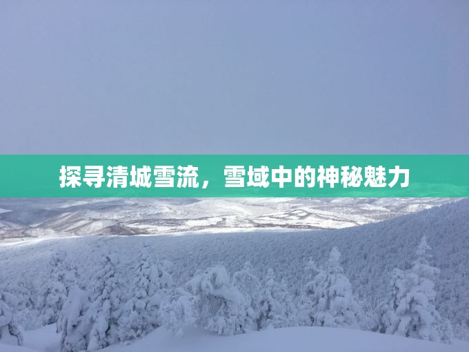 探尋清城雪流，雪域中的神秘魅力