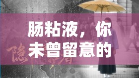 腸粘液，你未曾留意的隱形守護(hù)者