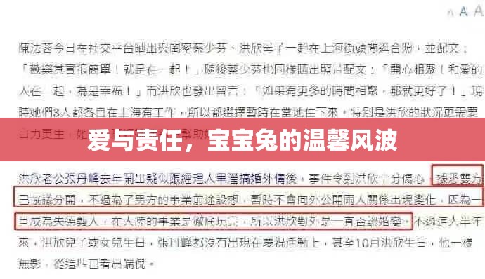 愛與責(zé)任，寶寶兔的溫馨風(fēng)波