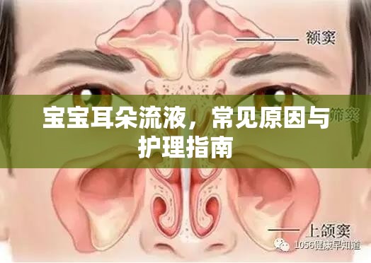 寶寶耳朵流液，常見原因與護(hù)理指南