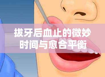 拔牙后血止的微妙時(shí)間與愈合平衡