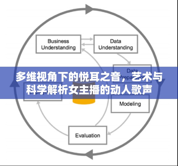 多維視角下的悅耳之音，藝術(shù)與科學(xué)解析女主播的動人歌聲
