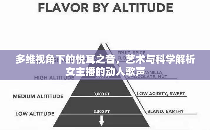多維視角下的悅耳之音，藝術(shù)與科學(xué)解析女主播的動人歌聲