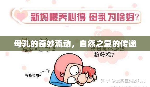 母乳的奇妙流動，自然之愛的傳遞