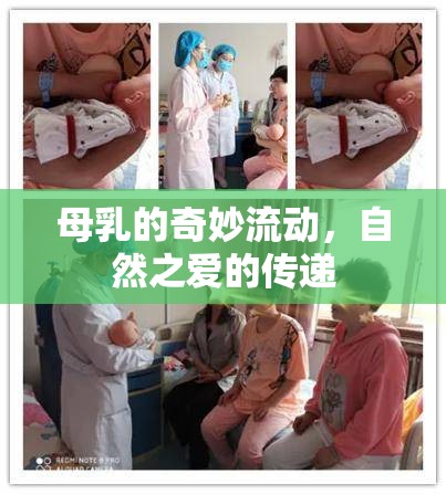 母乳的奇妙流動，自然之愛的傳遞