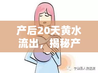 產后20天黃水流出，揭秘產后恢復的生理現(xiàn)象