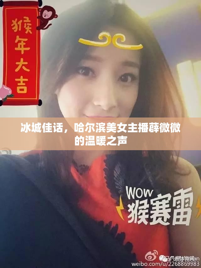 冰城佳話，哈爾濱美女主播薜微微的溫暖之聲