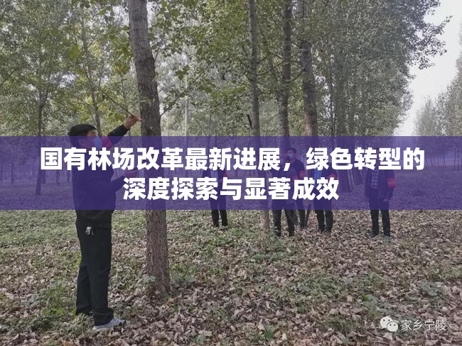 國(guó)有林場(chǎng)改革最新進(jìn)展，綠色轉(zhuǎn)型的深度探索與顯著成效