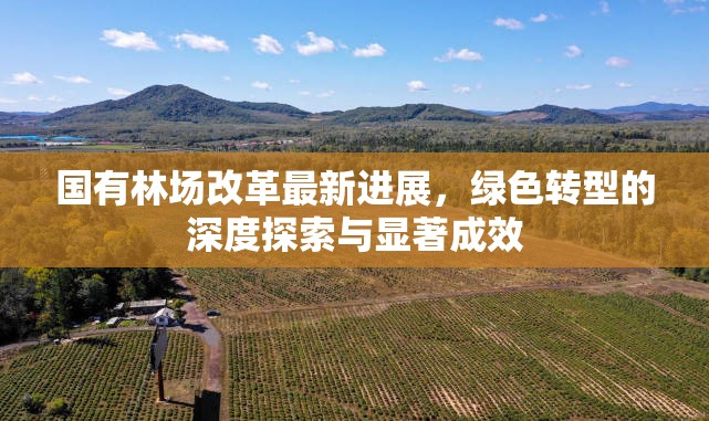 國(guó)有林場(chǎng)改革最新進(jìn)展，綠色轉(zhuǎn)型的深度探索與顯著成效
