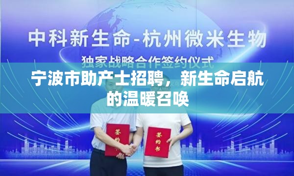 寧波市助產(chǎn)士招聘，新生命啟航的溫暖召喚