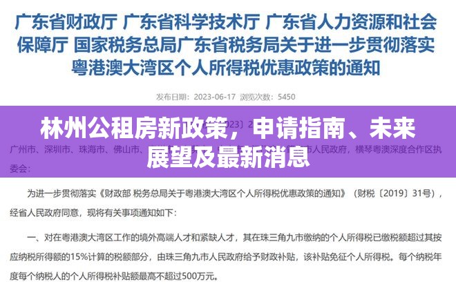 林州公租房新政策，申請(qǐng)指南、未來(lái)展望及最新消息