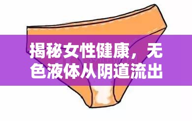 揭秘女性健康，無色液體從陰道流出的真相