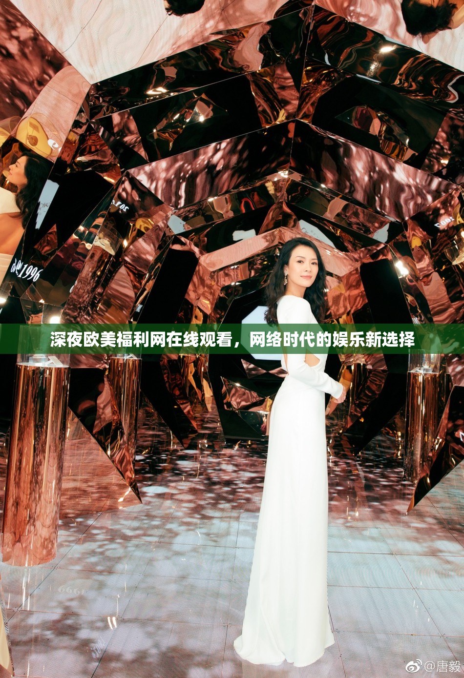 深夜歐美福利網(wǎng)在線觀看，網(wǎng)絡(luò)時代的娛樂新選擇