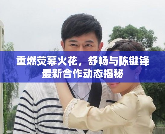 重燃熒幕火花，舒暢與陳鍵鋒最新合作動(dòng)態(tài)揭秘