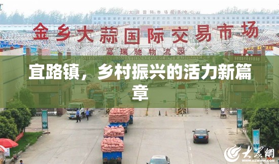 宜路鎮(zhèn)，鄉(xiāng)村振興的活力新篇章