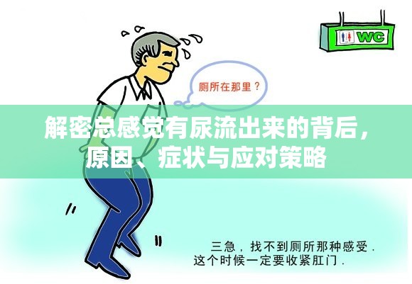 解密總感覺有尿流出來的背后，原因、癥狀與應(yīng)對策略