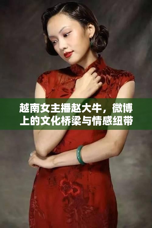 越南女主播趙大牛，微博上的文化橋梁與情感紐帶
