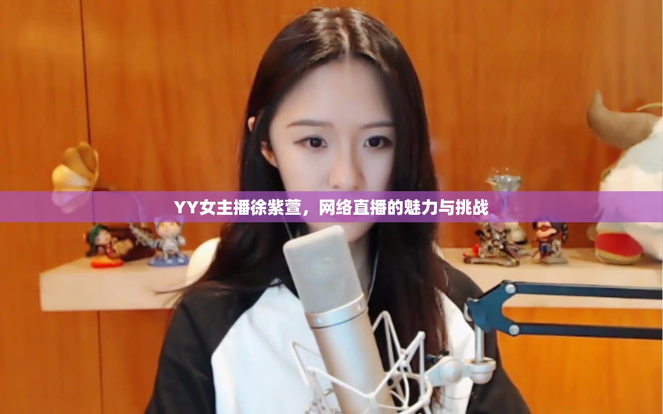 YY女主播徐紫萱，網(wǎng)絡(luò)直播的魅力與挑戰(zhàn)