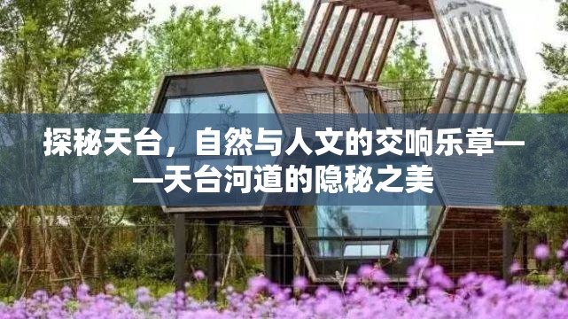 探秘天臺(tái)，自然與人文的交響樂章——天臺(tái)河道的隱秘之美
