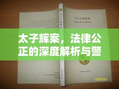 太子輝案，法律公正的深度解析與警示