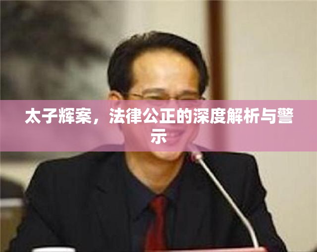太子輝案，法律公正的深度解析與警示