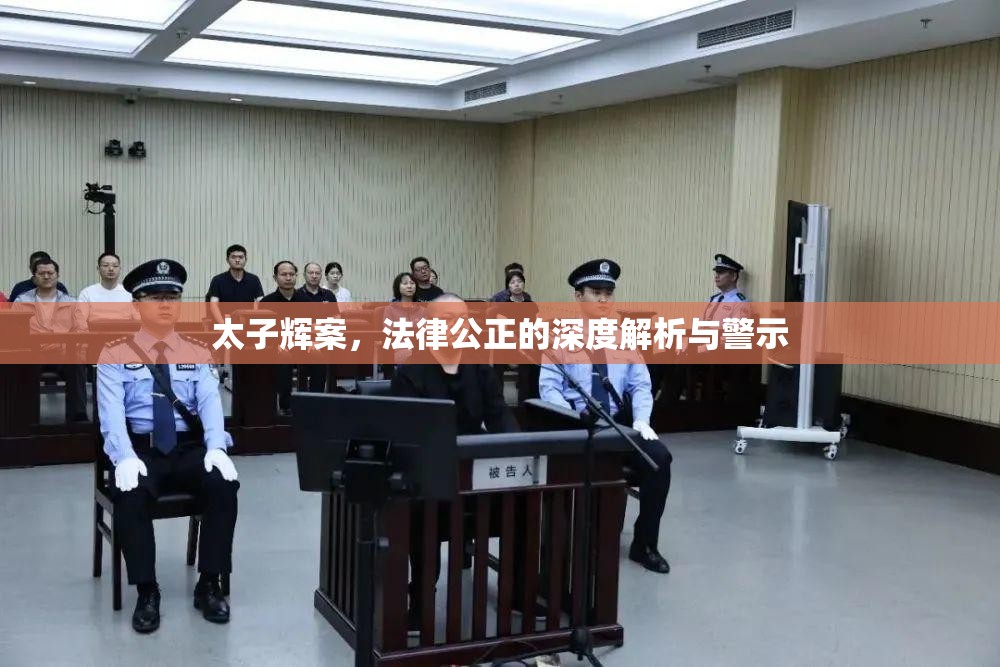 太子輝案，法律公正的深度解析與警示