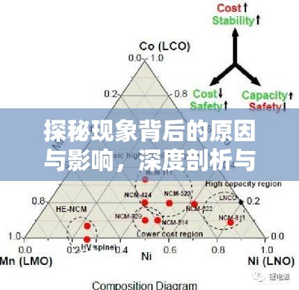 探秘現(xiàn)象背后的原因與影響，深度剖析與解讀