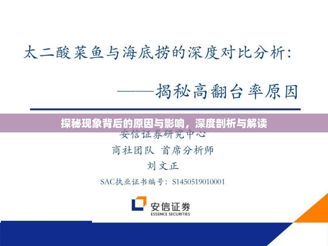 探秘現(xiàn)象背后的原因與影響，深度剖析與解讀